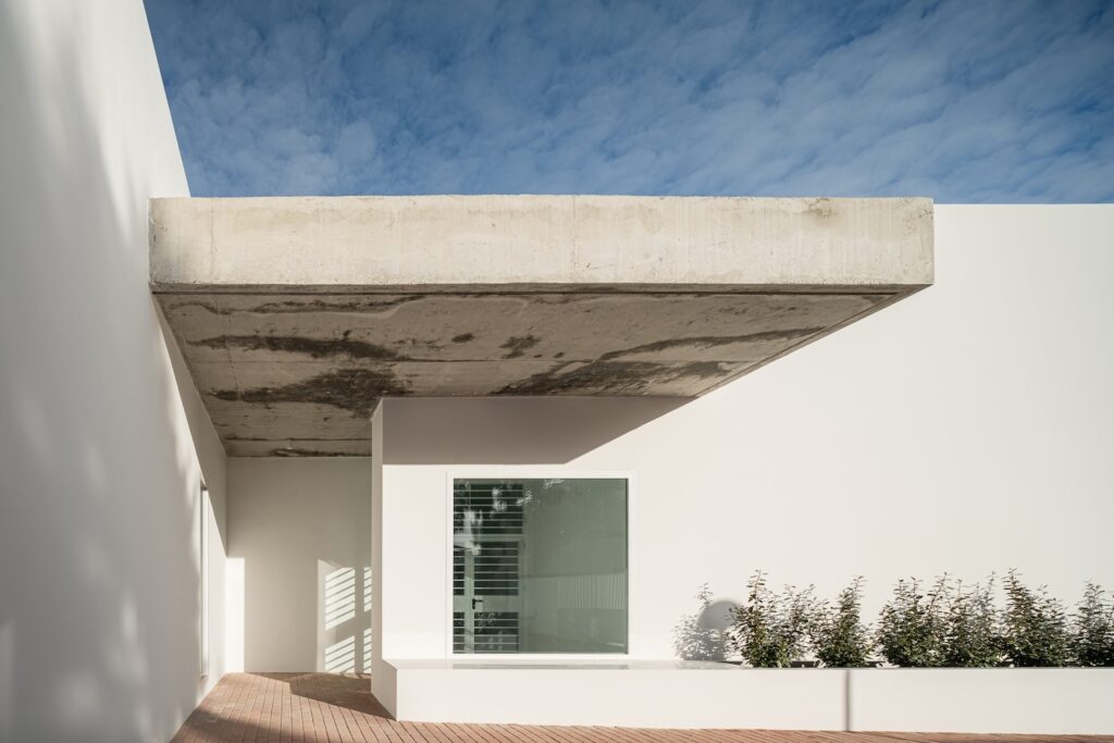 JL260120_AUSTRO-INCUBACIONES-3